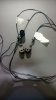 IMG-20170930-WA0046.jpeg