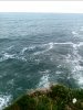 IMG_20171112_151557_520.JPG
