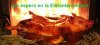 cochinillo-asado-horno-maridaje-gourmet-y-mas.jpg