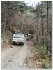 IMG_0833.jpg