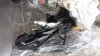 20170706_101231.jpg