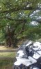 20170727_104606MIN.jpg