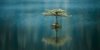 temperate-breeze_3f6df24d.jpg