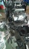 IMG-20171119-WA0011.jpeg