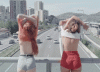 circulation.gif