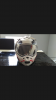 Screenshot_20171215-032950.png