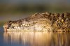 nature-photography-your-shot-01.jpg