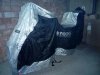 rps20180116_210653_542.jpg