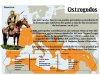 ob_4a8614_invasiones-barbaras-5-728.jpg