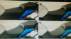 upload_2018-1-25_10-4-48.png