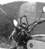 movil 2016 465.jpg