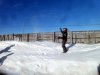 20180203_101437.jpg