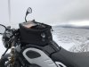ninet.jpg