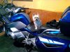 IMG_20161031_202800.jpg