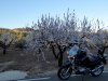 2018-02-11-20-53-17.jpg