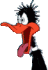 72.gif