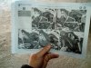 rps20180312_212147_797.jpg