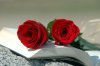 sant jordi 4.jpg