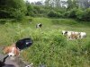 DSC05717.jpg