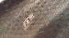 WP_20180401_20_20_08_Pro.jpg