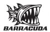 barracuda-86262386.jpg