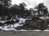 IMG-20180414-WA0075.jpg