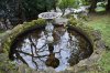 DSC_0040.JPG