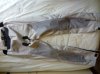 rps20180506_174642_699.jpg
