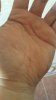 20180509_104131.jpg