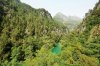 lebanon-abraham-river-trees-green.jpg