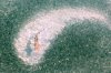black-tip-reef-shark-maladives.jpg
