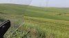 20180427_103012.jpg