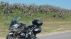 20180427_103939.jpg
