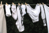 linge.gif