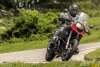 rider21.jpg