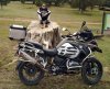 para foro BMw.jpg
