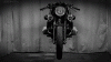 CBDD1EEB-3558-4AE1-8B95-0E104CDCE334.gif