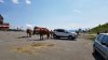20180708_112503.jpg