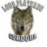 lobo plateado