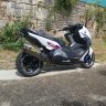 Migote