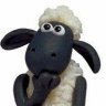 BLACK SHEEP