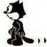 O GATO