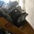 Luisal