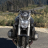 alf19