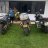 xevimv