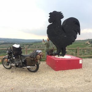 gallo toscano y r90.JPG