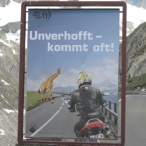Alpes 0651.jpg