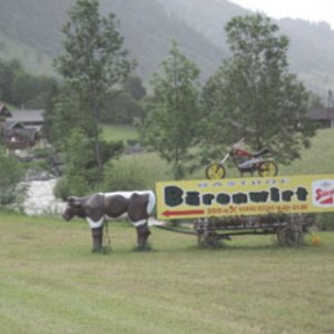 Alpes 0656.jpg