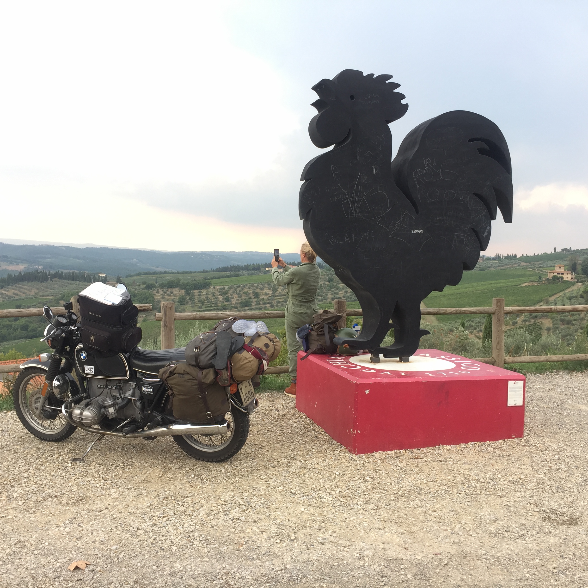 gallo toscano y r90.JPG