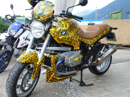 P1010676.jpg